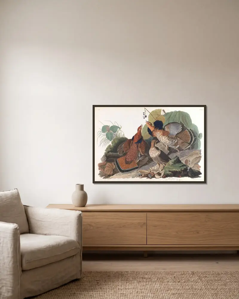 Głuszec, John James Audubon w ramie na ścianie
