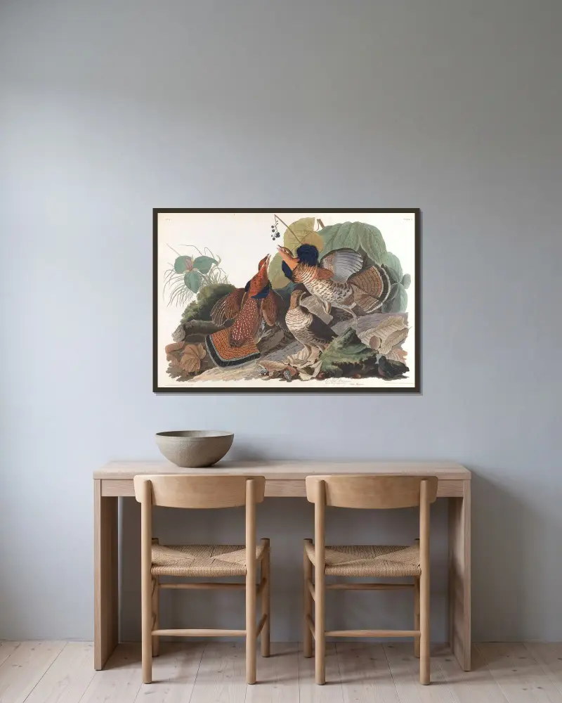 Głuszec, John James Audubon w ramie na ścianie