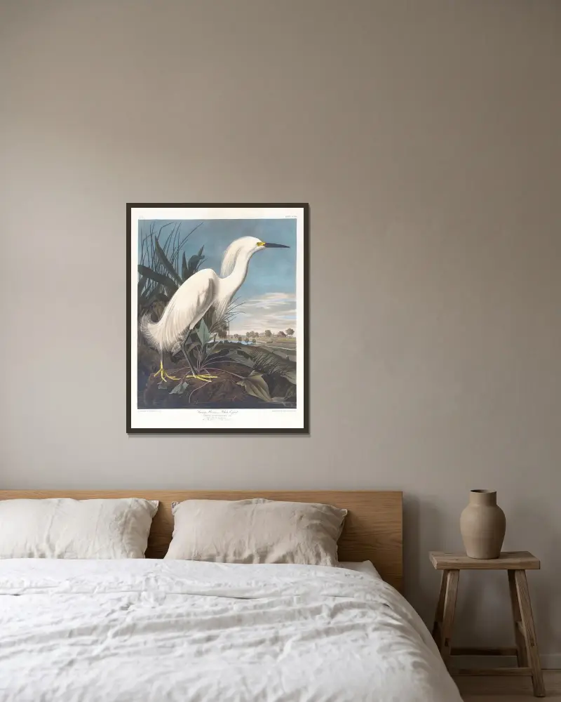 Snowy heron or white egret av John James Audubon inramad på en vägg