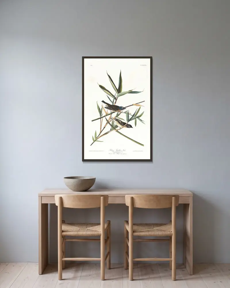 Solitary flycatcher or vireo av John James Audubon inramad på en vägg