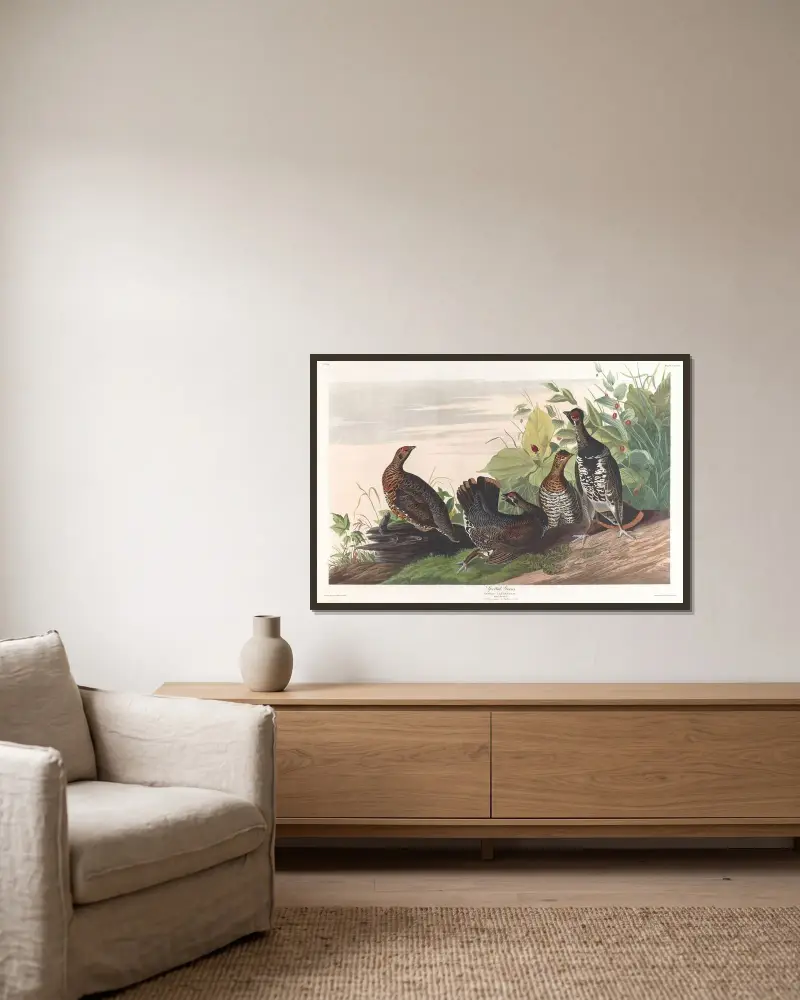 Geflecktes Waldhuhn von John James Audubon gerahmt an einer Wand