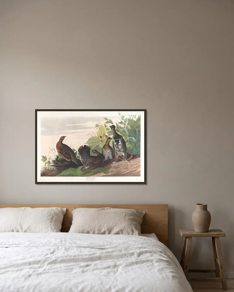 Geflecktes Waldhuhn von John James Audubon gerahmt an einer Wand