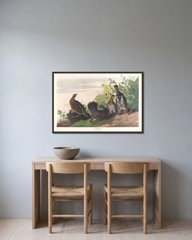 Geflecktes Waldhuhn von John James Audubon gerahmt an einer Wand