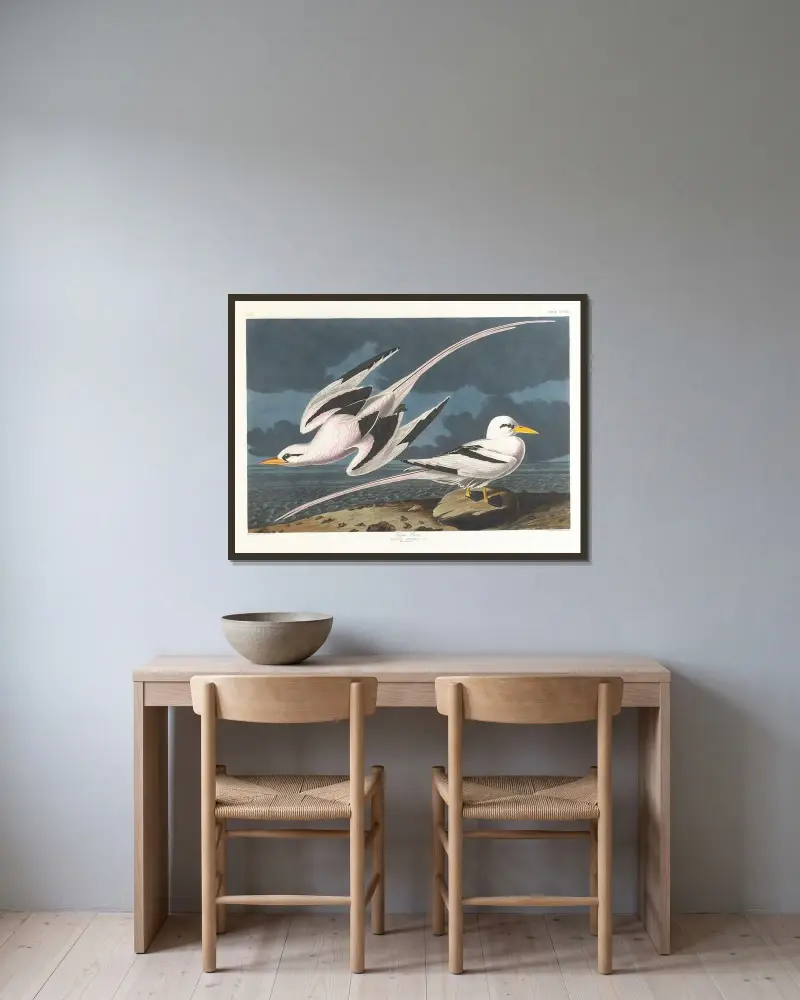 Tropický pták, John James Audubon v rámu na stěně