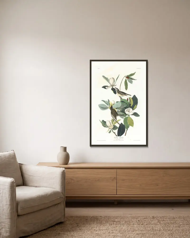 Zpívající lejsek, John James Audubon v rámu na stěně