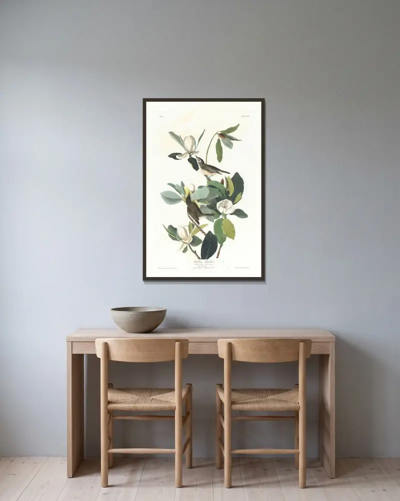 Zpívající lejsek, John James Audubon v rámu na stěně