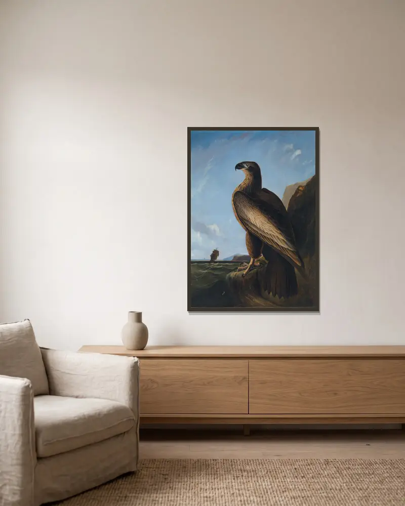 Washingtonův mořský orel, John James Audubon v rámu na stěně