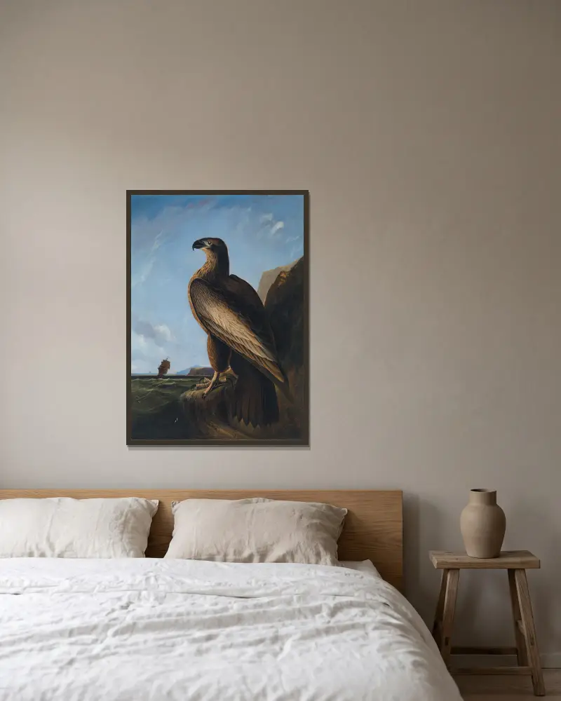 Washingtonův mořský orel, John James Audubon v rámu na stěně