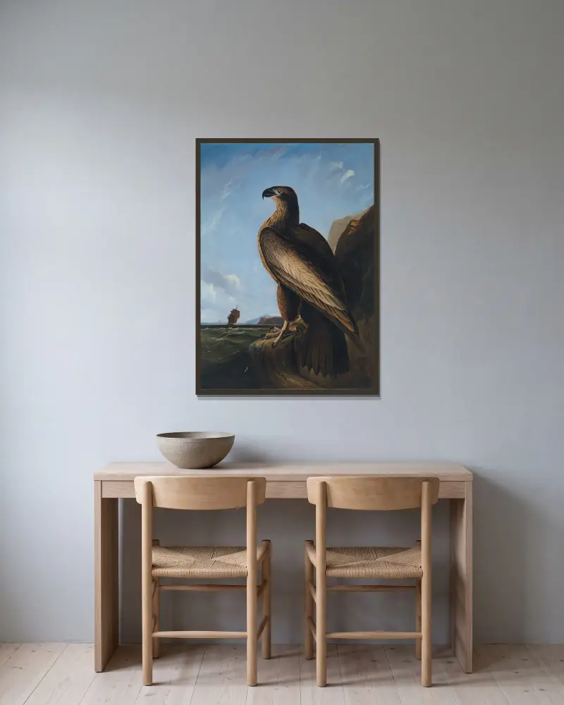 Washingtonův mořský orel, John James Audubon v rámu na stěně