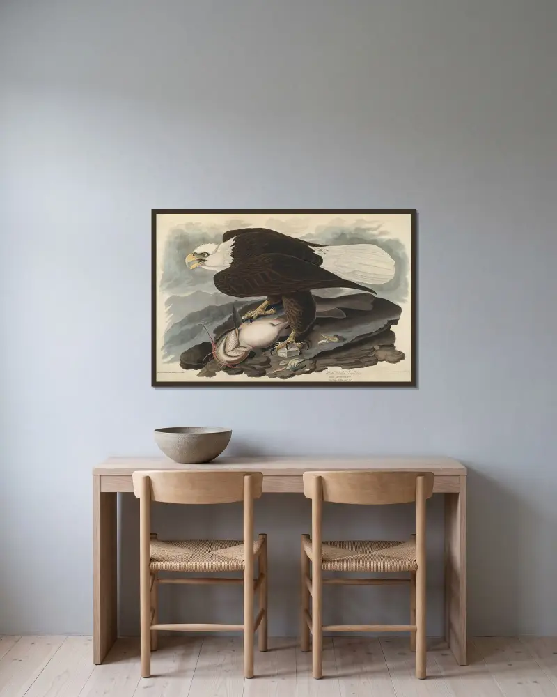 Orel bělohlavý, 1827 – Nr. 2, John James Audubon v rámu na stěně