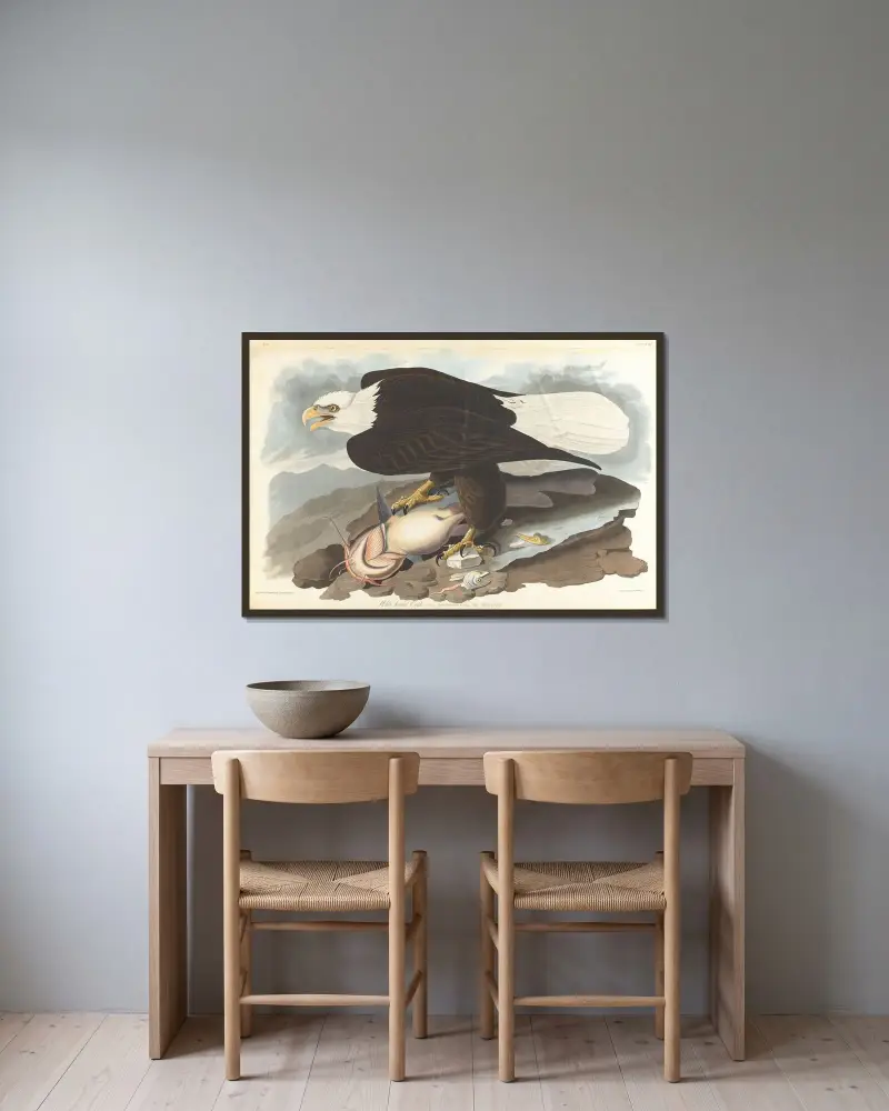 Weißkopfseeadler, 1827 – Nr. 1 von John James Audubon gerahmt an einer Wand