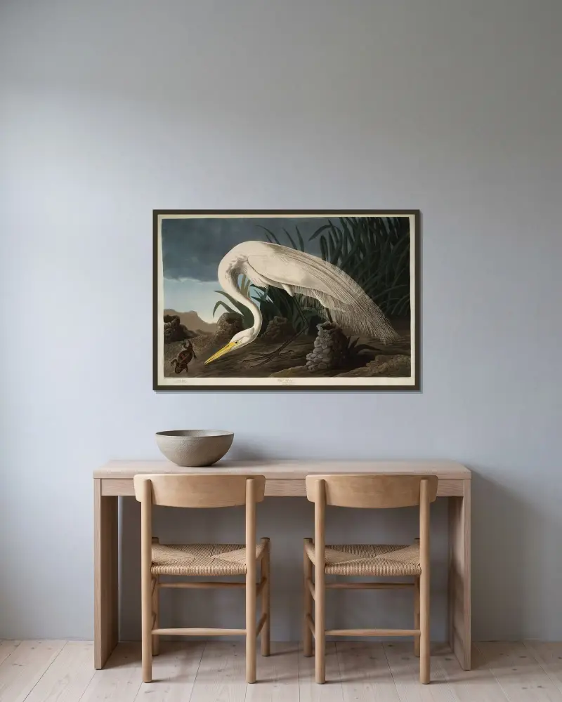 Bílá volavka, 1827 – Nr. 2, John James Audubon v rámu na stěně
