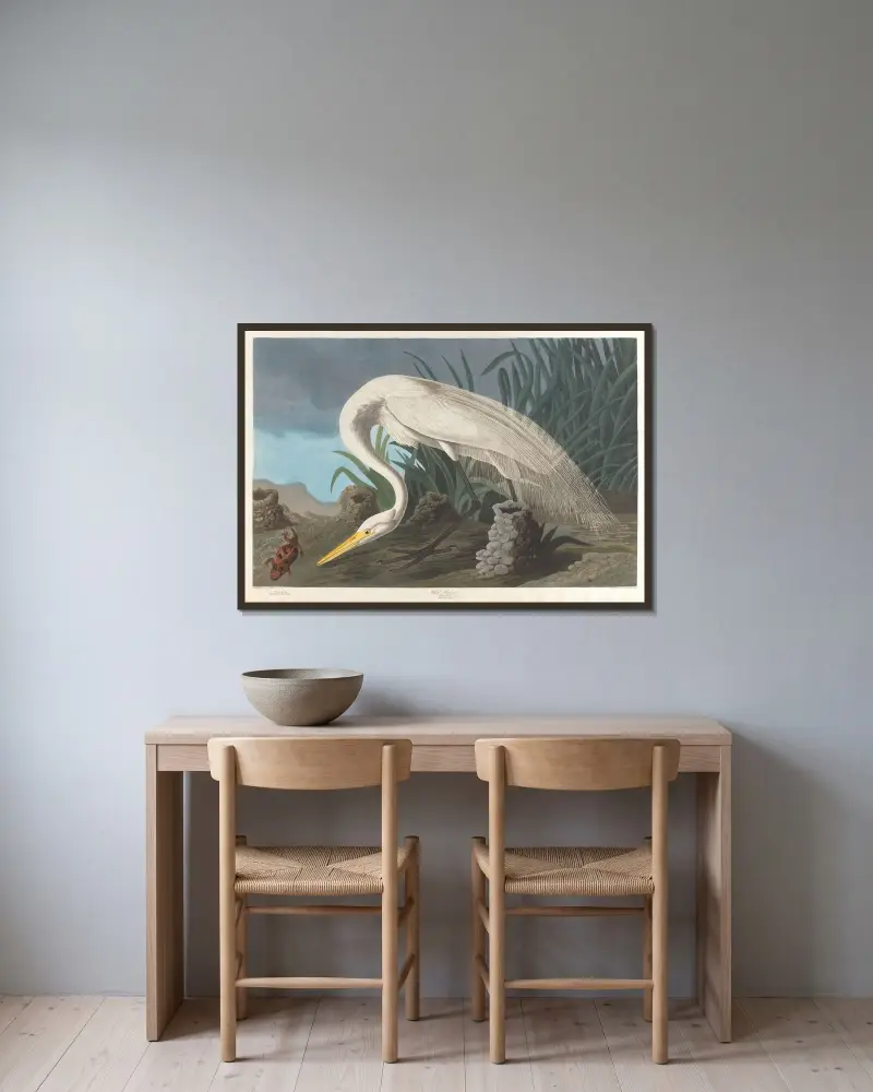 Bílá volavka, 1827 – Nr. 1, John James Audubon v rámu na stěně