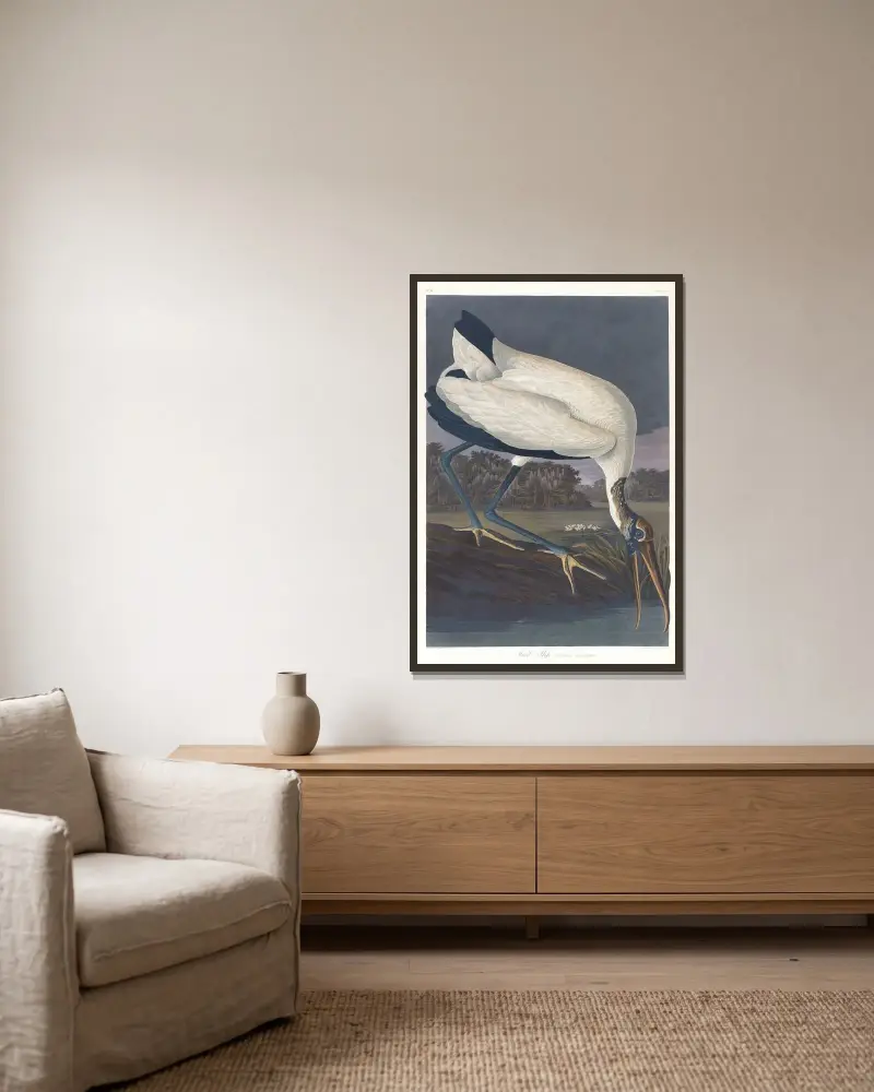 Waldstorch von John James Audubon gerahmt an einer Wand