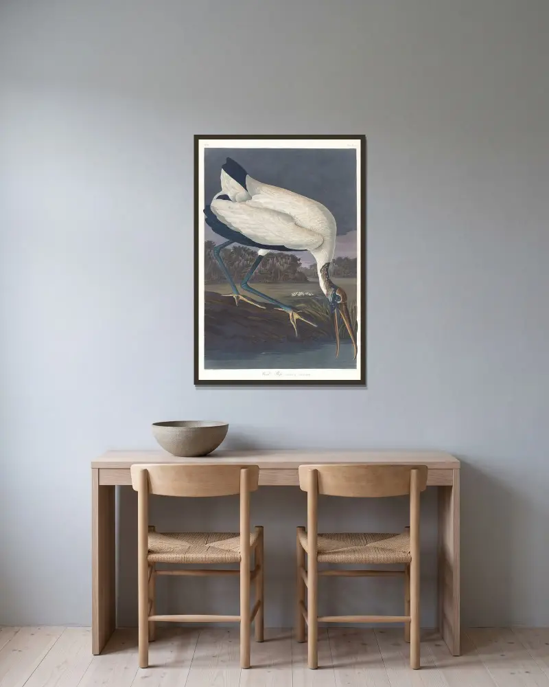 Waldstorch von John James Audubon gerahmt an einer Wand