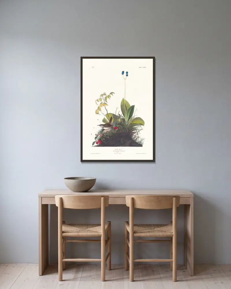 Skogsgärdsmyg, John James Audubon v rámu na stěně