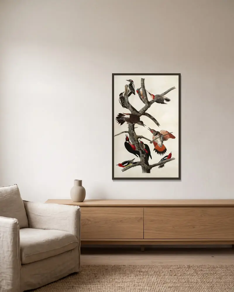Spechte, 1827 – Nr. 2 von John James Audubon gerahmt an einer Wand