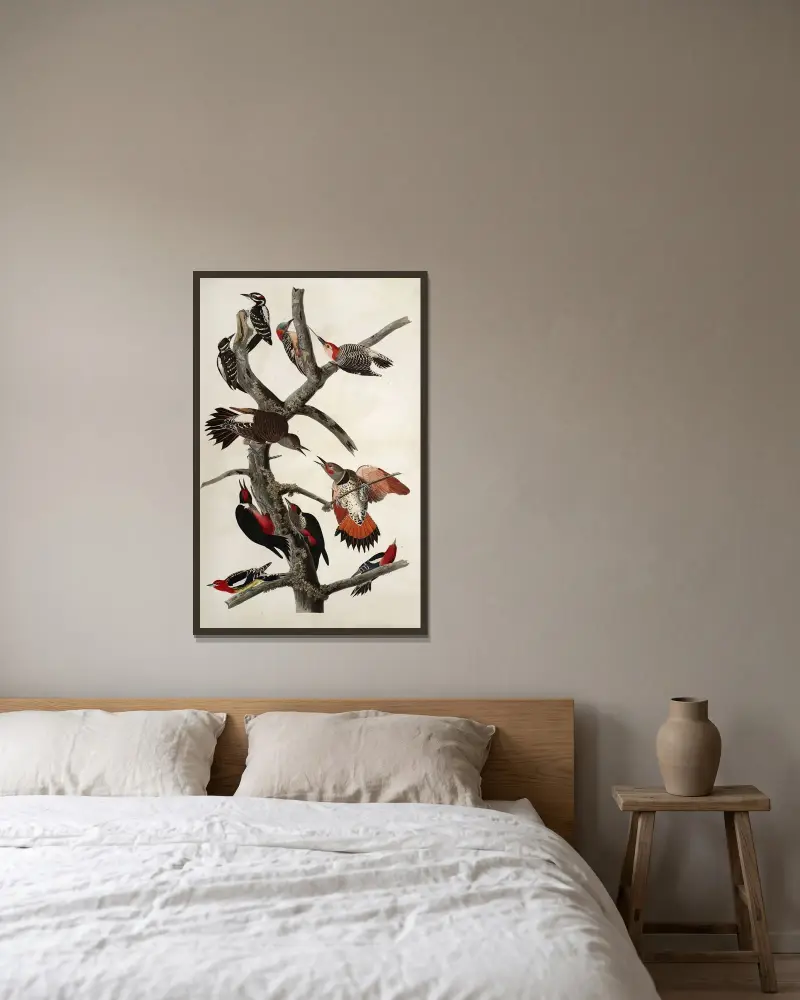 Spechte, 1827 – Nr. 2 von John James Audubon gerahmt an einer Wand