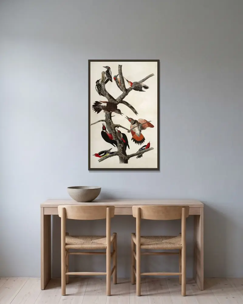 Spechte, 1827 – Nr. 2 von John James Audubon gerahmt an einer Wand