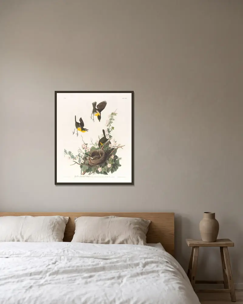 Żółtogardła pokrzewnica, John James Audubon w ramie na ścianie