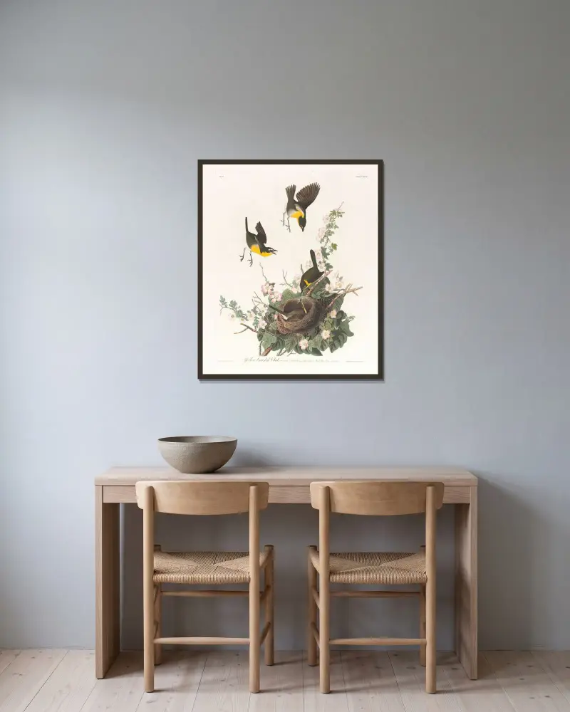 Żółtogardła pokrzewnica, John James Audubon w ramie na ścianie