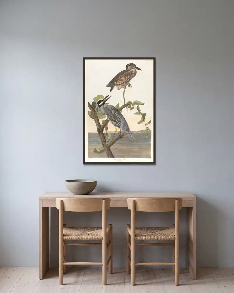 Czapla żółtoczuba, John James Audubon w ramie na ścianie