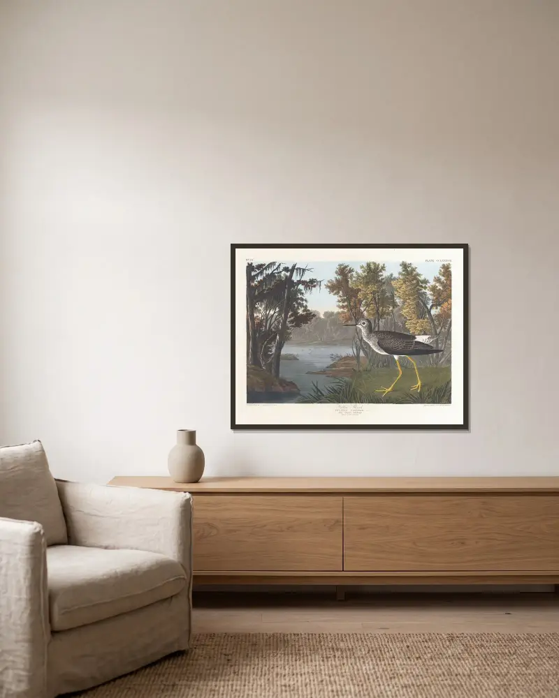 Gelbschenkel von John James Audubon gerahmt an einer Wand