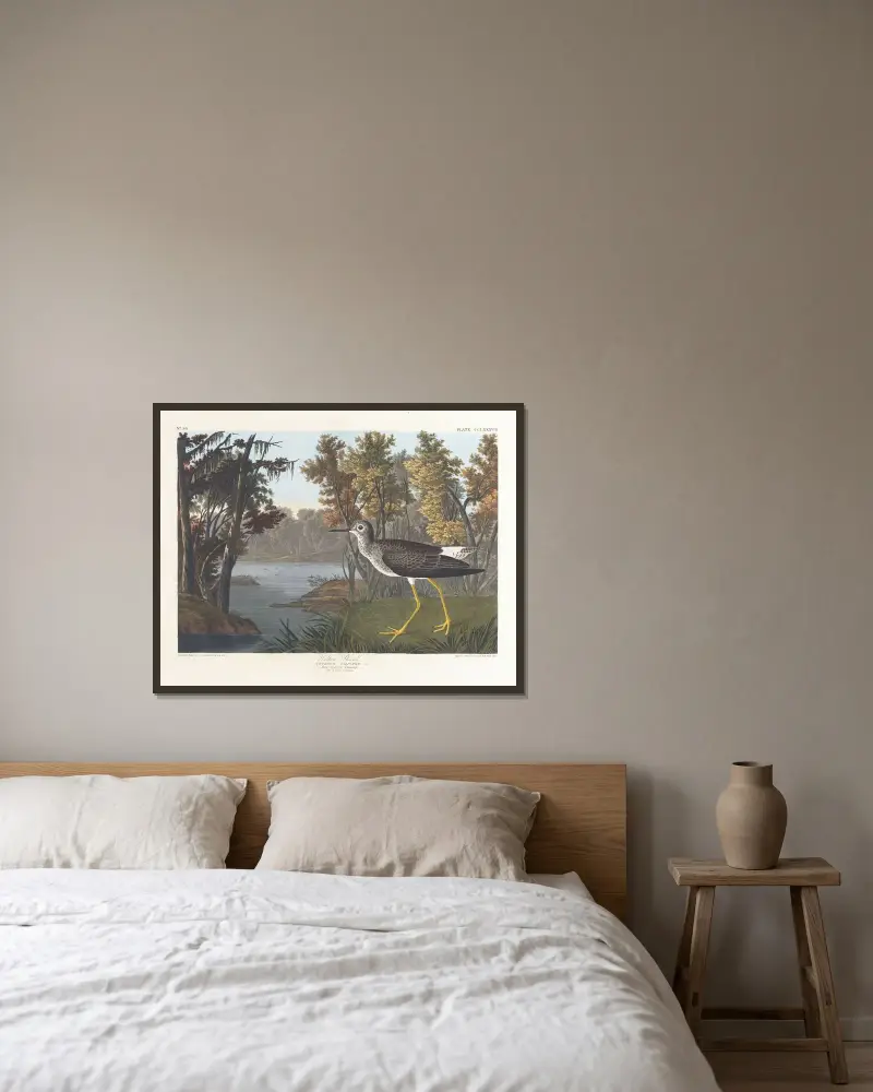 Gelbschenkel von John James Audubon gerahmt an einer Wand
