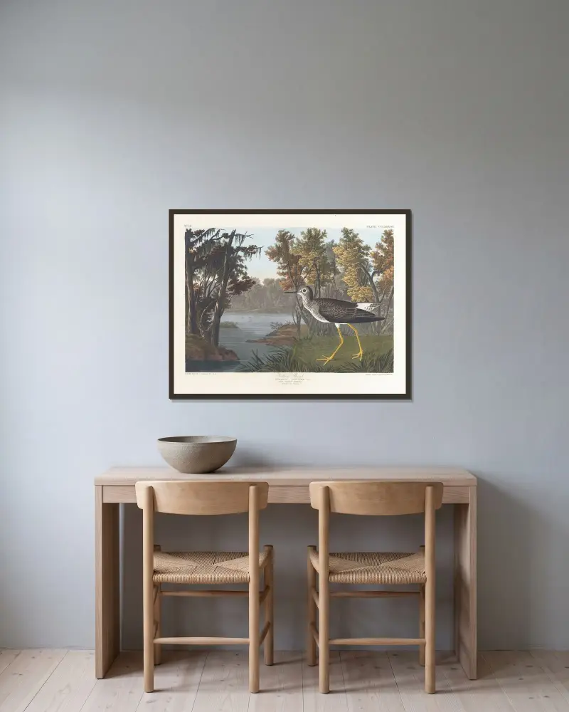 Gelbschenkel von John James Audubon gerahmt an einer Wand