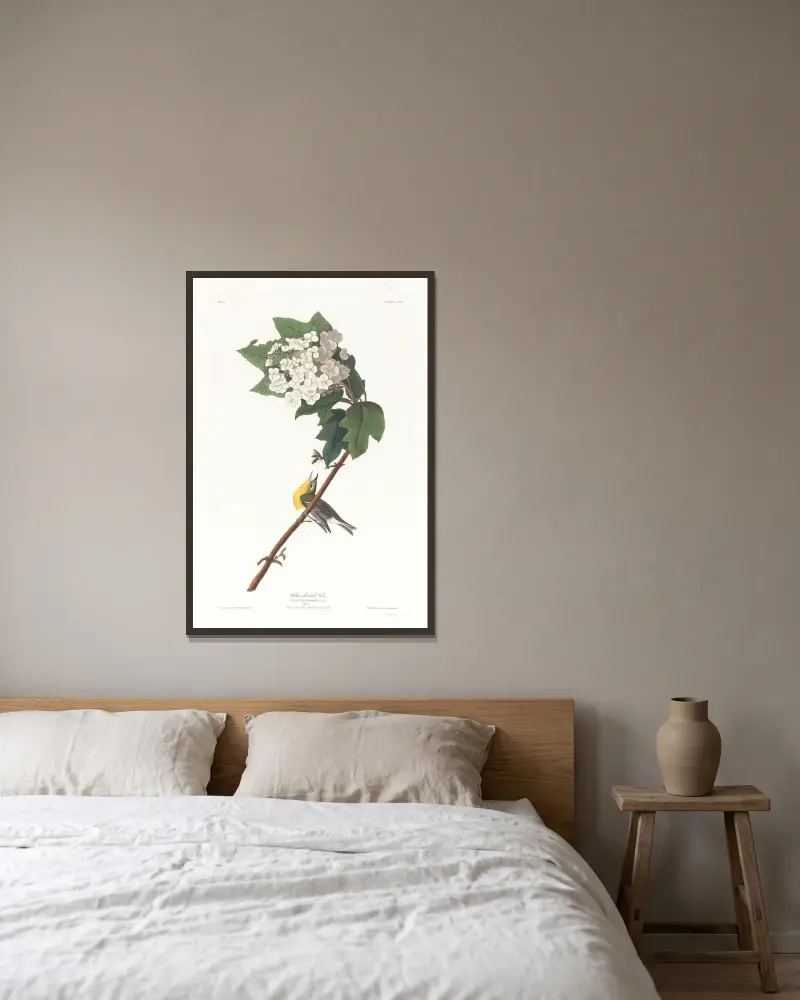 Gelbkehlvireo von John James Audubon gerahmt an einer Wand