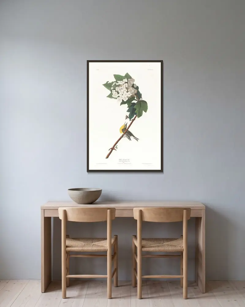 Gelbkehlvireo von John James Audubon gerahmt an einer Wand