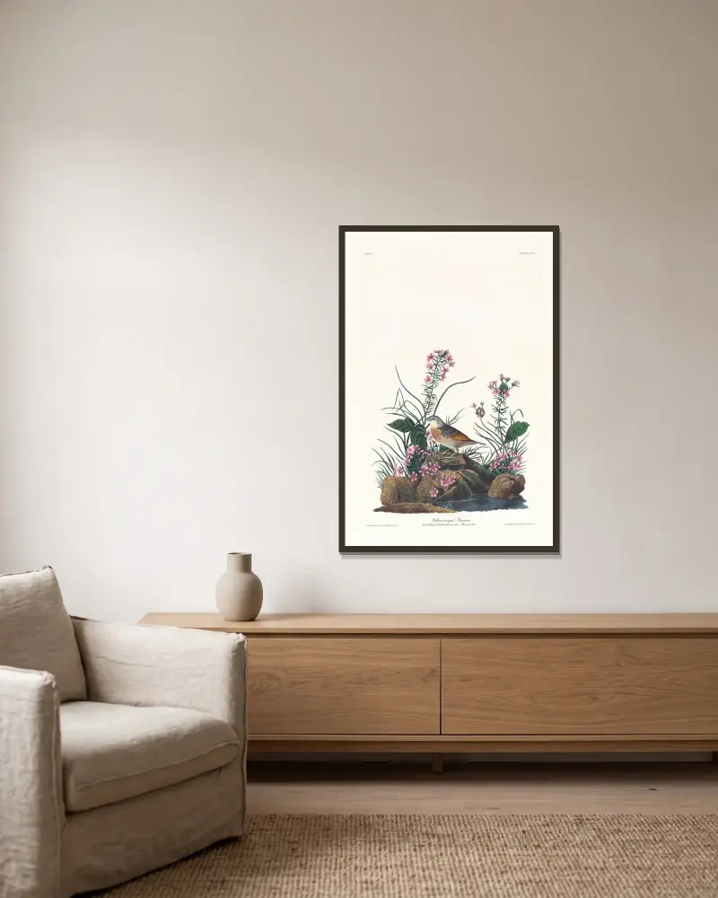 Žlutokřídlý vrabec, John James Audubon v rámu na stěně