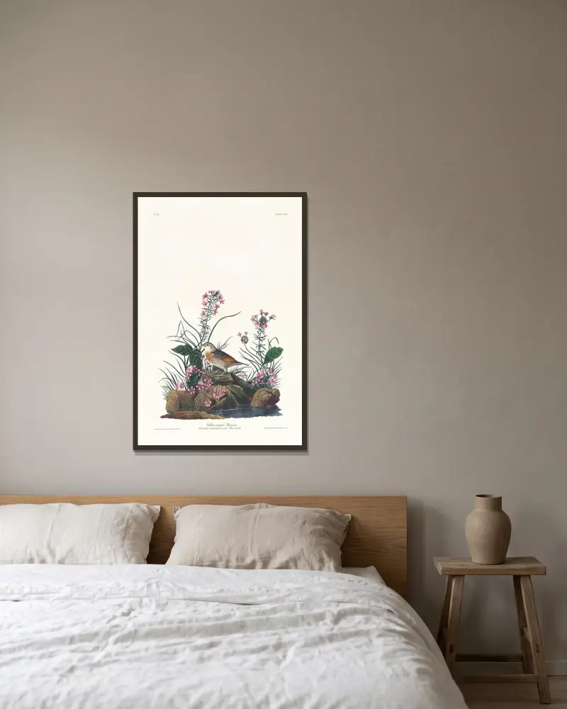 Žlutokřídlý vrabec, John James Audubon v rámu na stěně