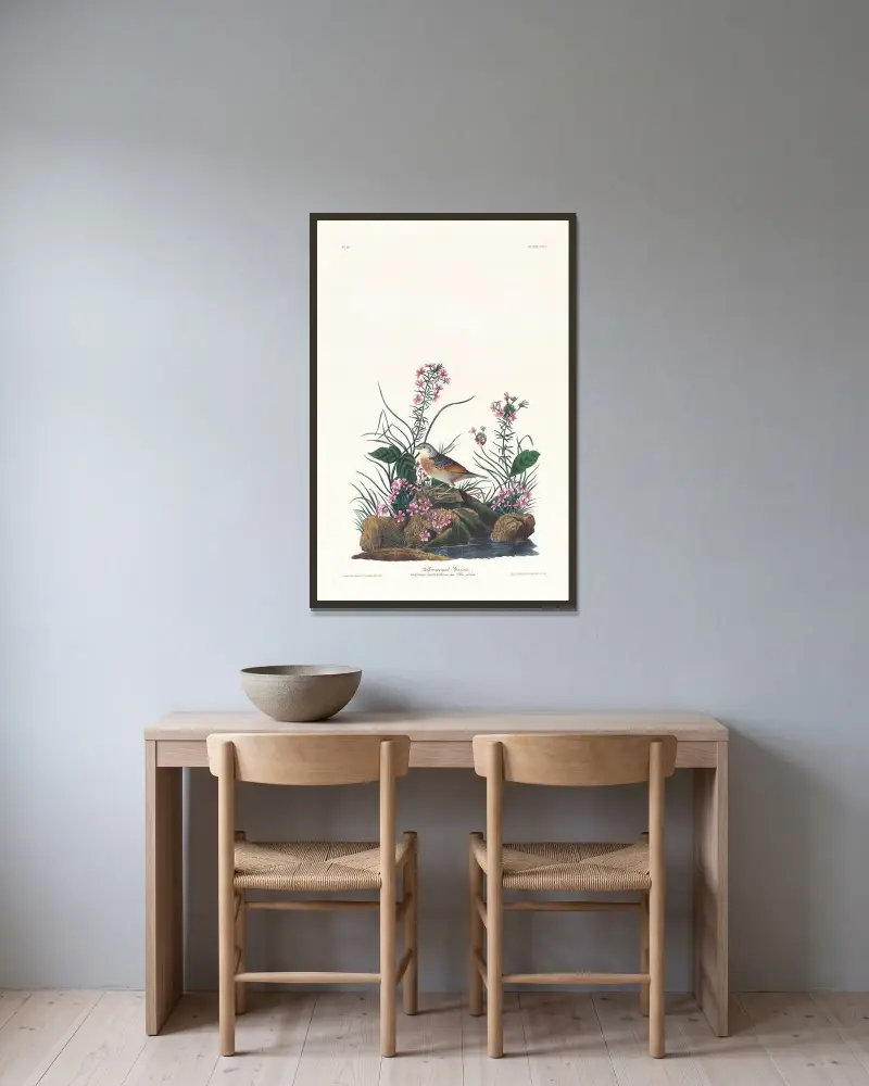 Žlutokřídlý vrabec, John James Audubon v rámu na stěně