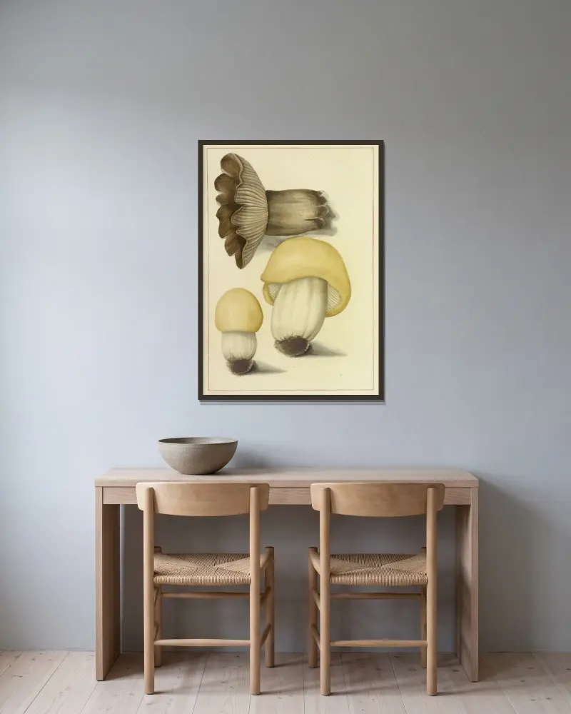 Svampar som växer vilt kring Halifax, pl. 89 av James Bolton inramad på en vägg