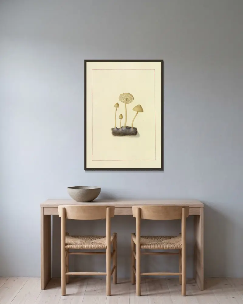 Icons fungorum circa Halifax sponte Nascentium Pl.099 av James Bolton inramad på en vägg