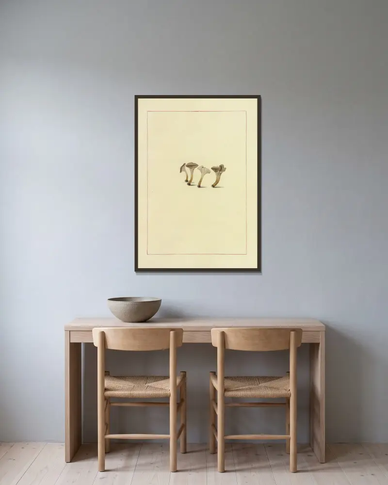 Icons fungorum circa Halifax sponte Nascentium Pl.120 av James Bolton inramad på en vägg