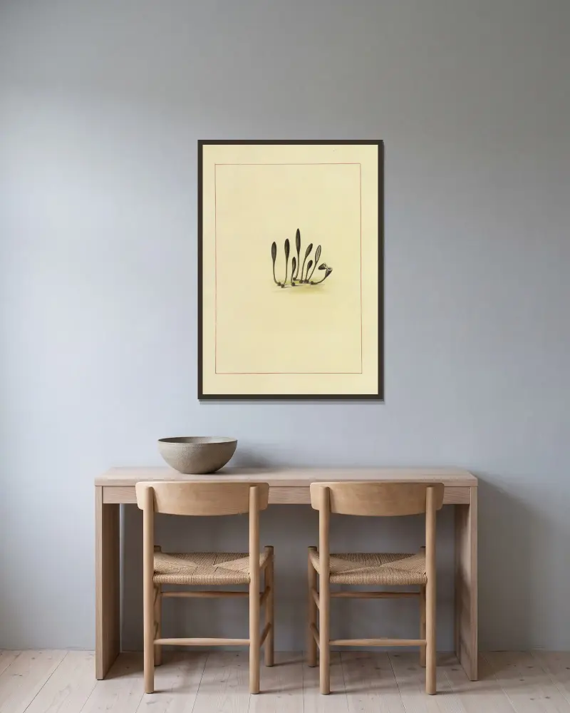 Icons fungorum circa Halifax sponte Nascentium Pl.123 av James Bolton inramad på en vägg