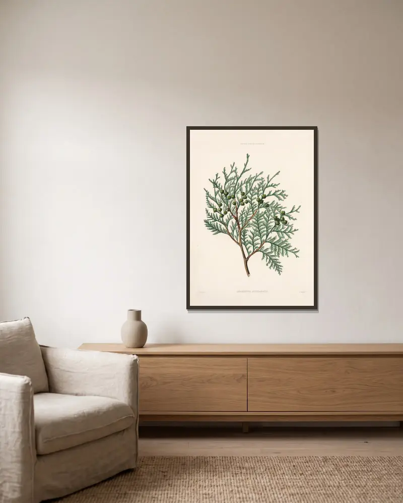 Cupressus nutkaensis av Edward James Ravenscroft inramad på en vägg