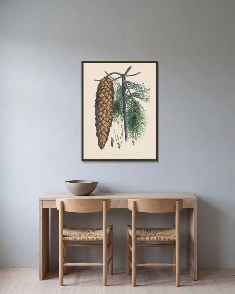 Pinus Lambertiana, Edward James Ravenscroft v rámu na stěně