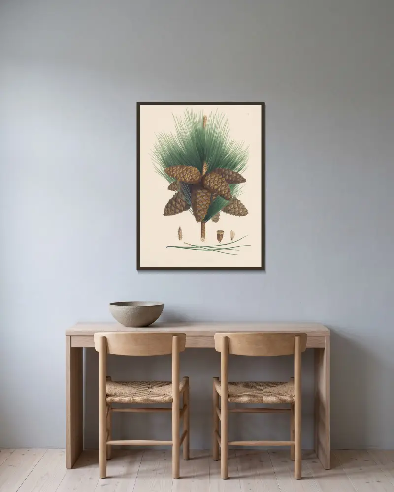 Pinus pinaster von Edward James Ravenscroft gerahmt an einer Wand