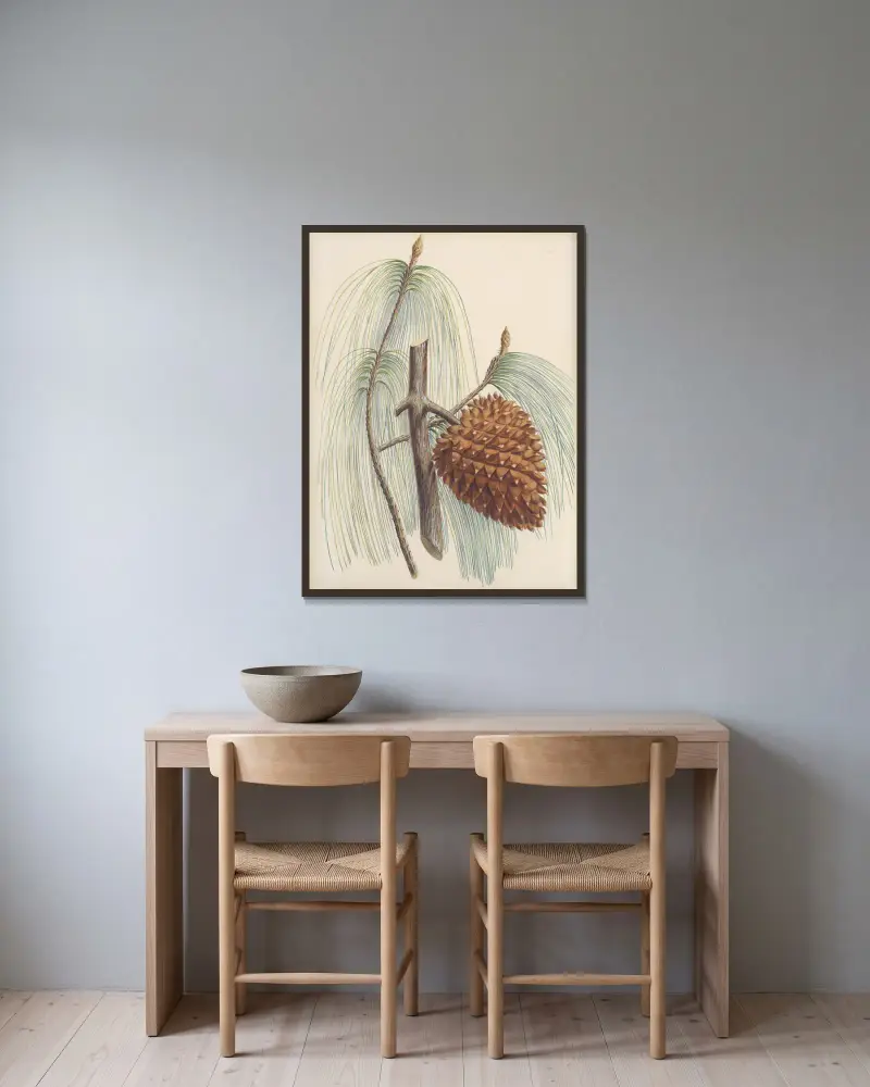 Pinus sabiniana av Edward James Ravenscroft inramad på en vägg