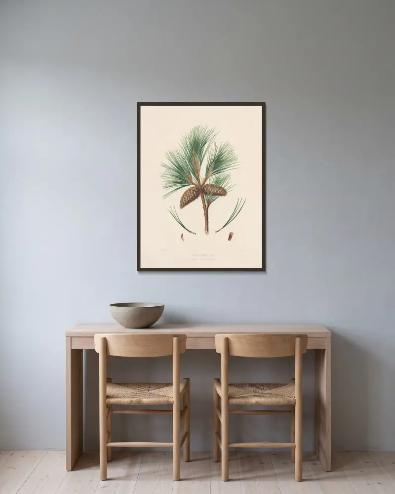 Pinus taeda von Edward James Ravenscroft gerahmt an einer Wand