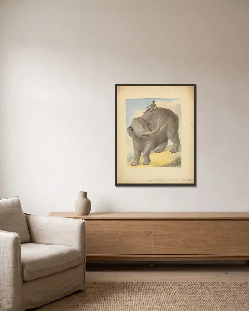 Elefant mit Reiter – Nr. 1 von James Sowerby gerahmt an einer Wand