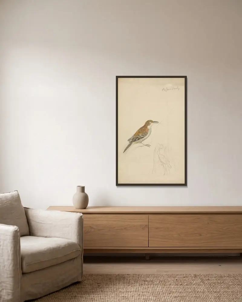 Eurasian treecreeper av James Sowerby inramad på en vägg