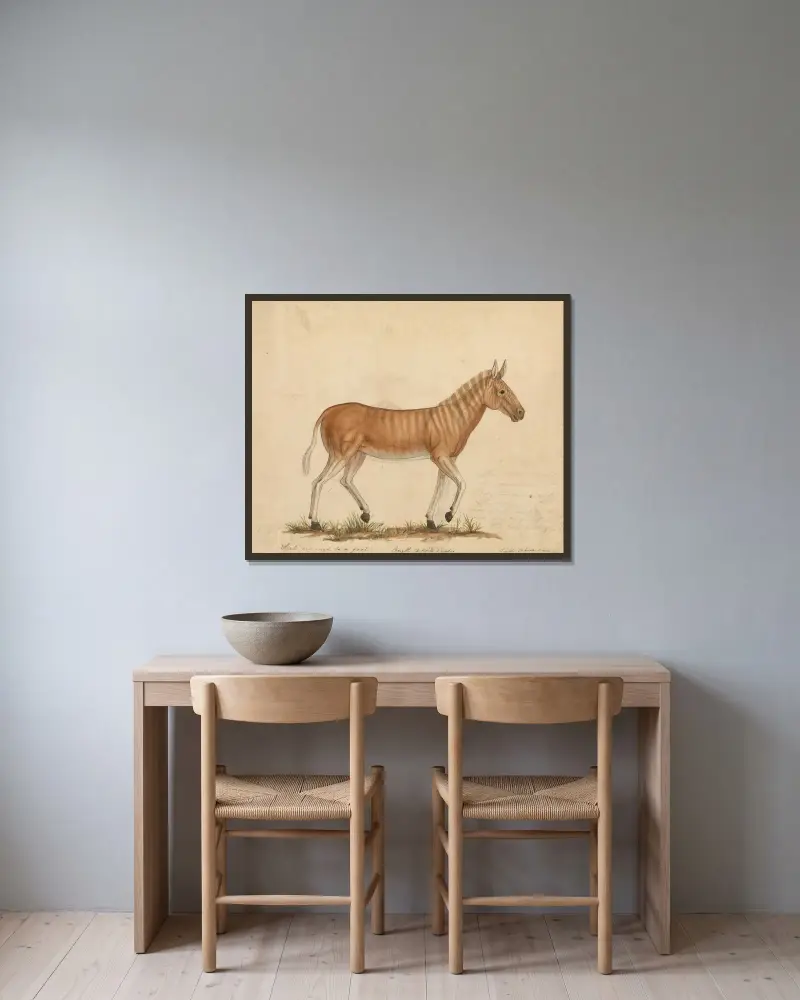Quagga-Zebra von James Sowerby gerahmt an einer Wand