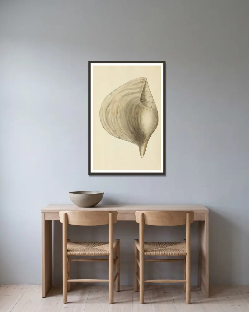 Die Mineral-Conchologie Großbritanniens, Tafel 485 von James Sowerby gerahmt an einer Wand