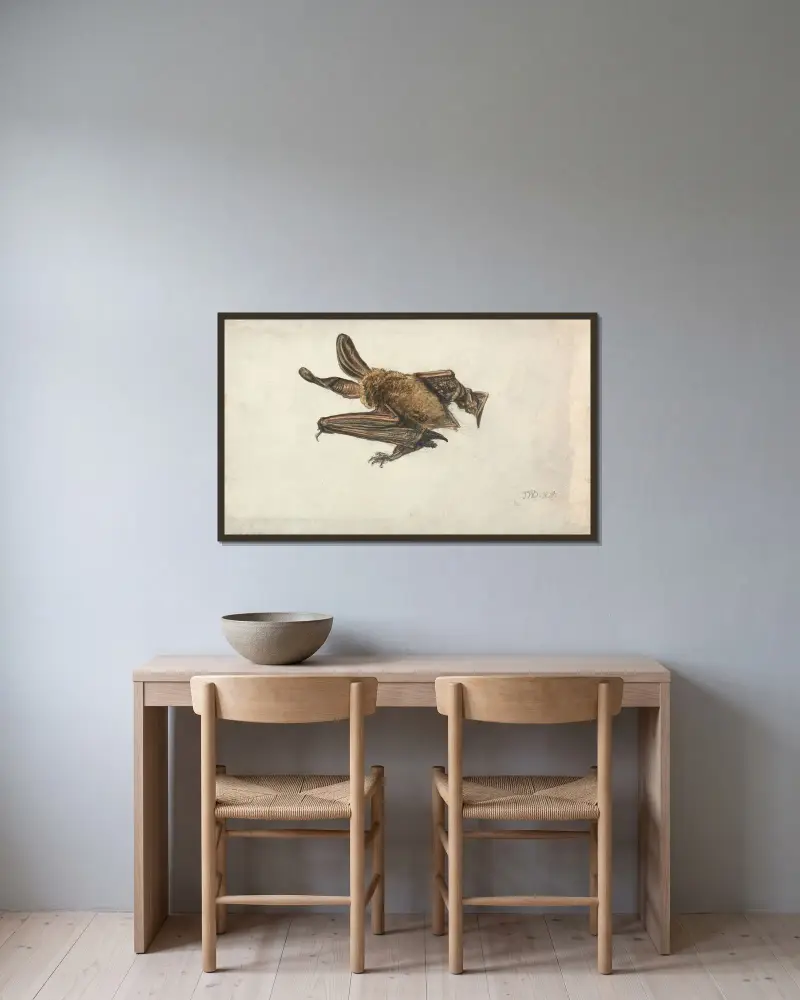 En brun långörad fladdermus (Plecotus auritus) av James Ward inramad på en vägg