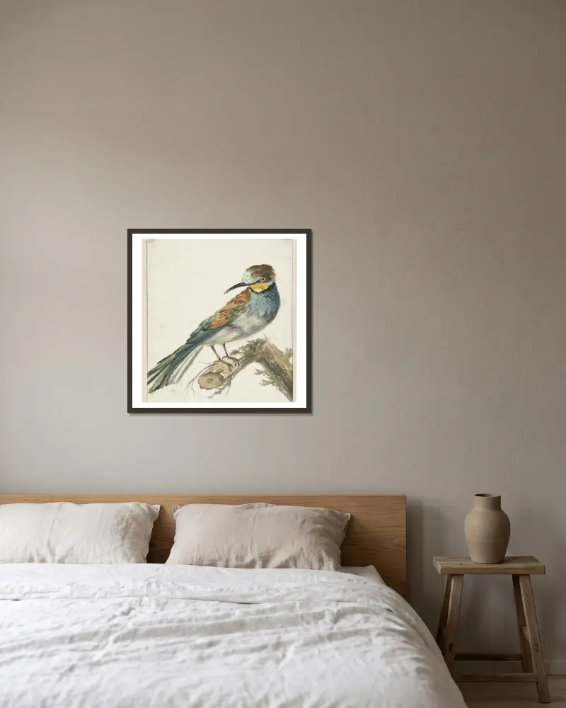 Včelojed (Merops apiaster), Jan Weenix v rámu na stěně