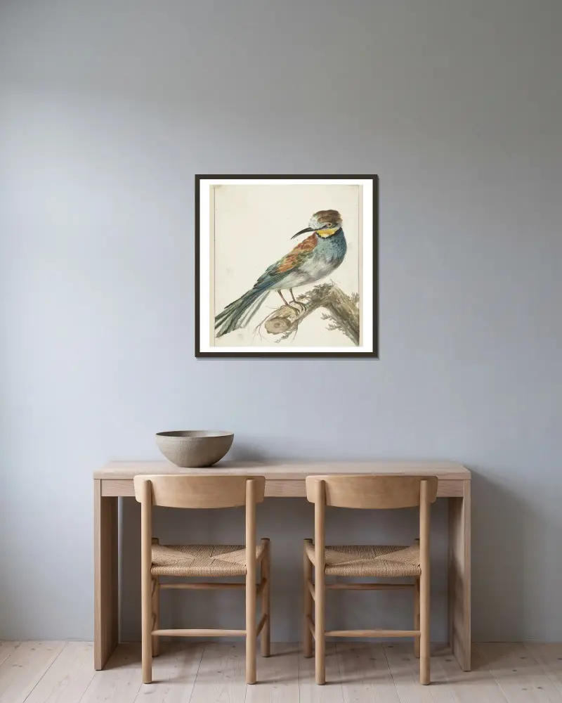 Včelojed (Merops apiaster), Jan Weenix v rámu na stěně
